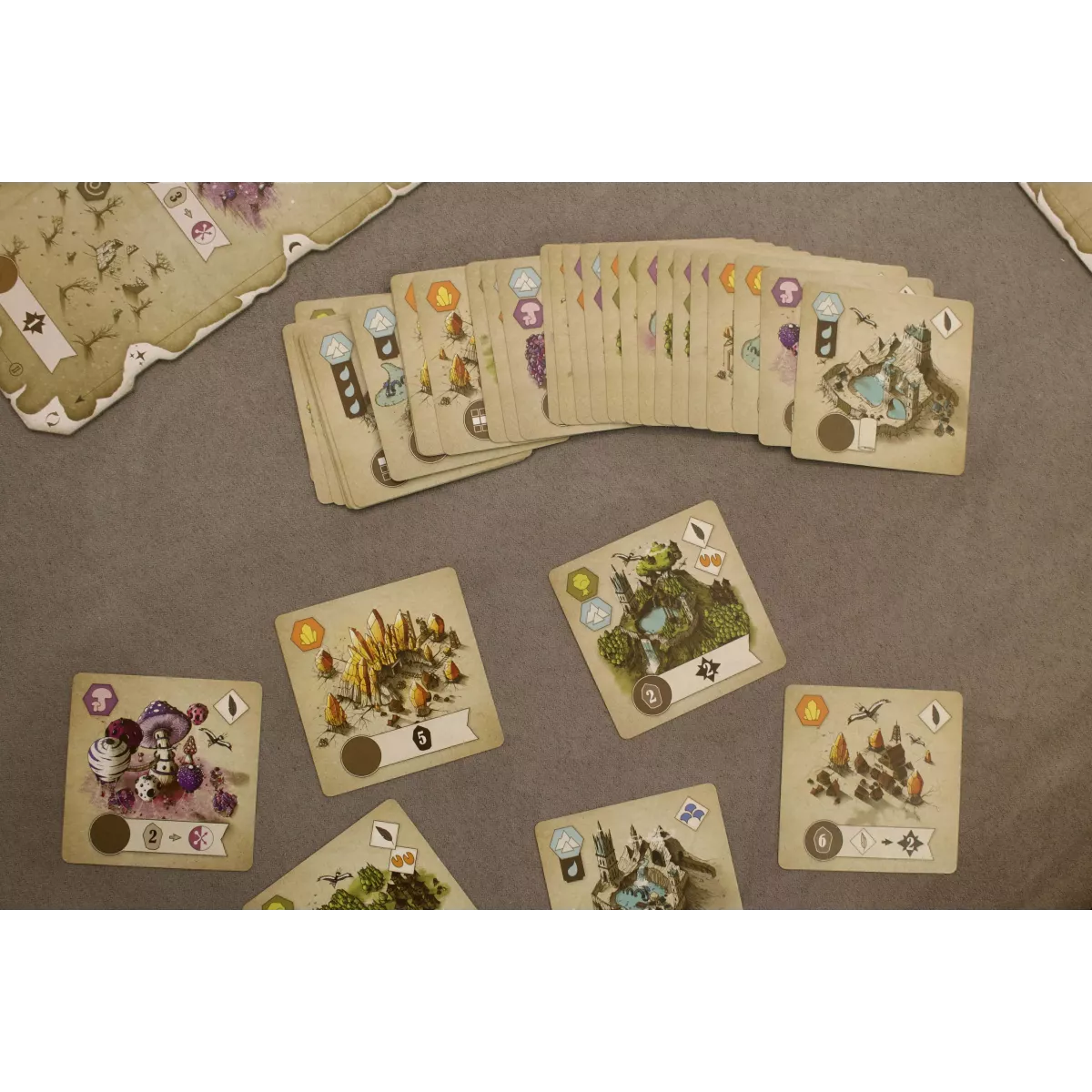 Rauha cartes