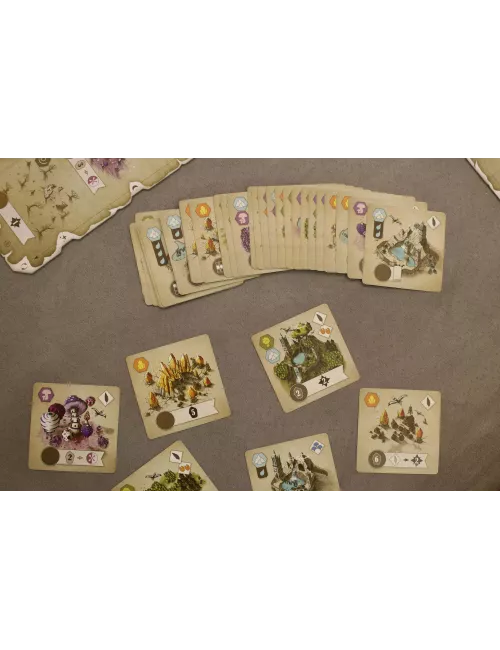 Rauha cartes