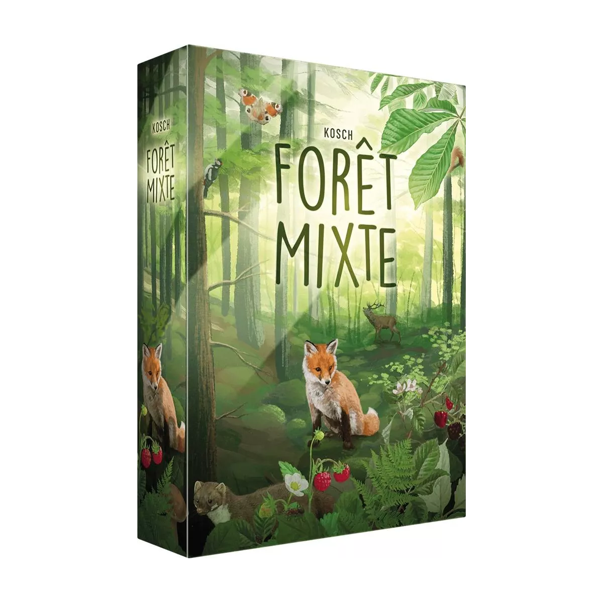 forêt mixte boîte
