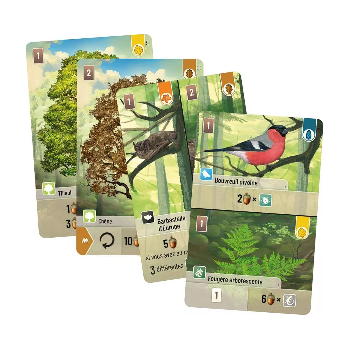 forêt mixte plateau