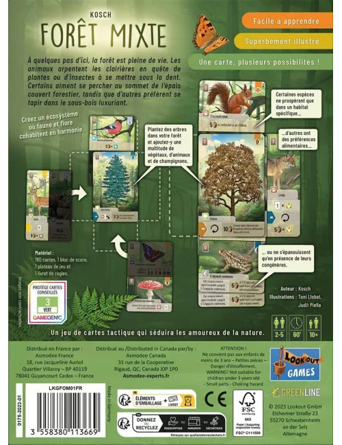 forêt mixte exemple 1