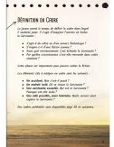 Après L'accident : Journal d'une Rescapée
