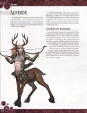 5E Compatible - Le Livre des Héros