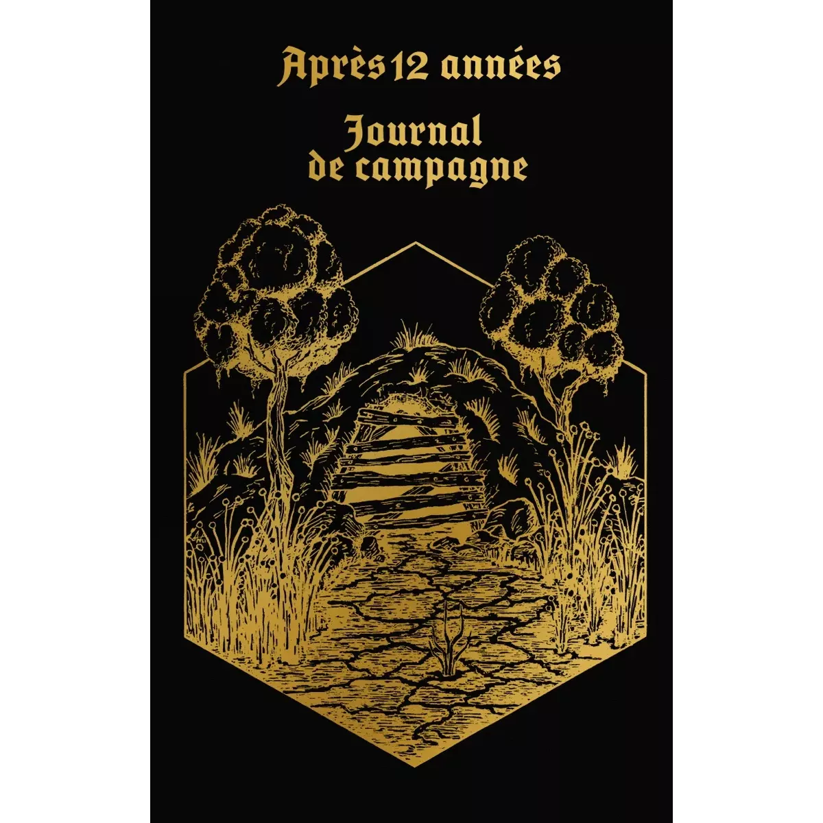 Après 12 Années - Journal de Campagne