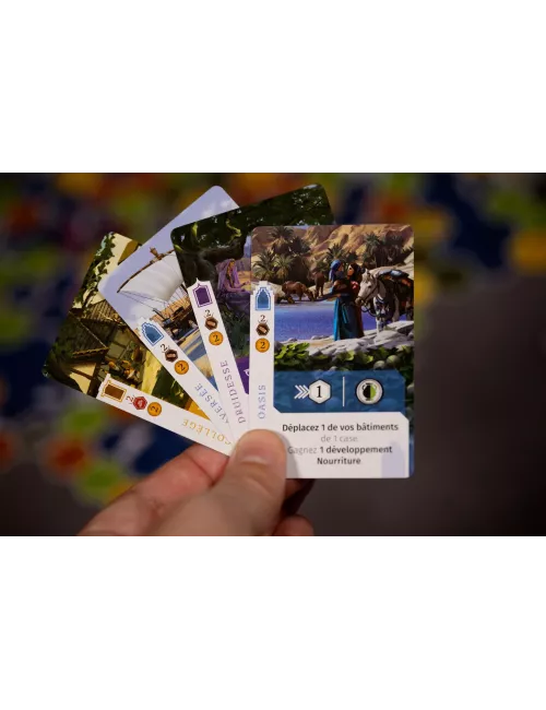 Near - L'Écho Des Civilisations